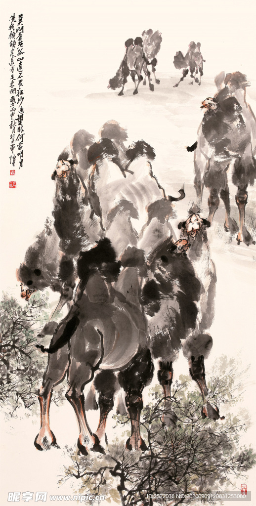 大漠驼魂