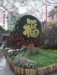 《福》花艺