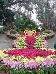 菊花花圃展览