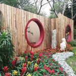 园林花展