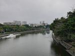 河流风景