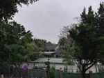 树木风景