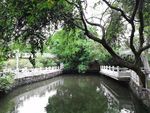 池塘绿树风景