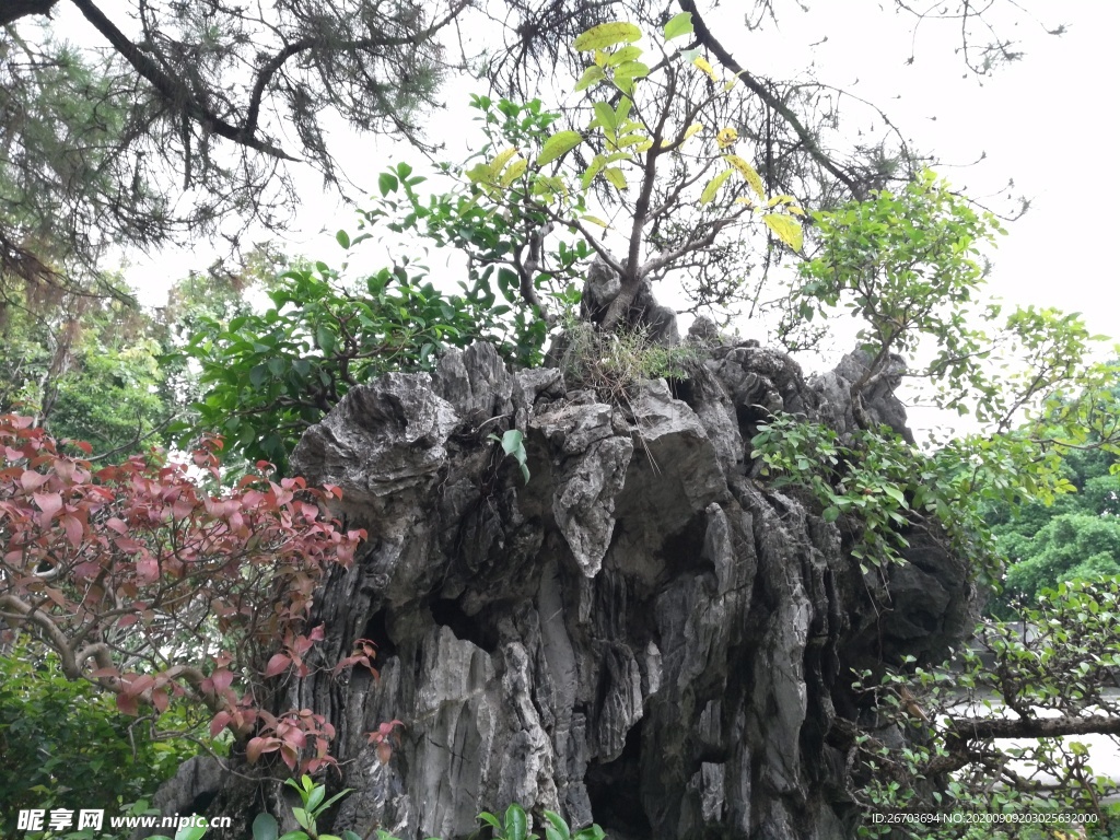 园林假山