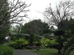 园林风景