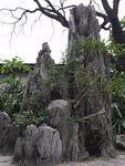 假山怪石林