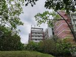 华农大学校园建筑