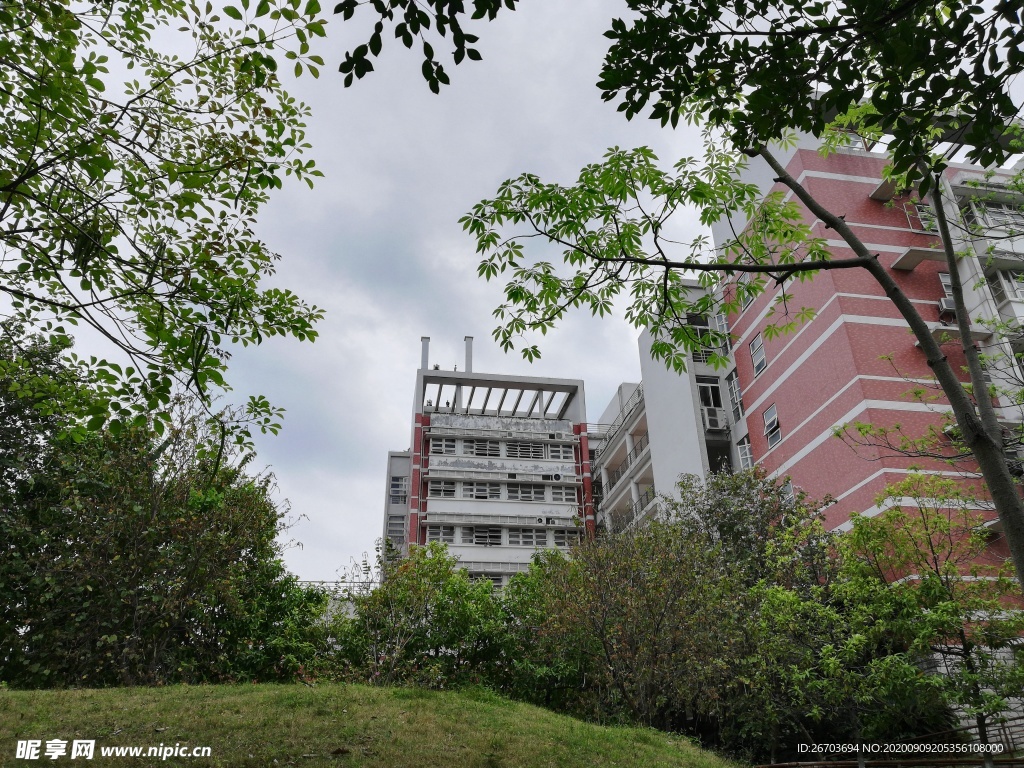 华农大学校园建筑
