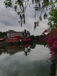 湖泊花园风景