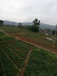 田园风景