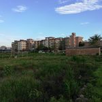 村庄杂草地风景