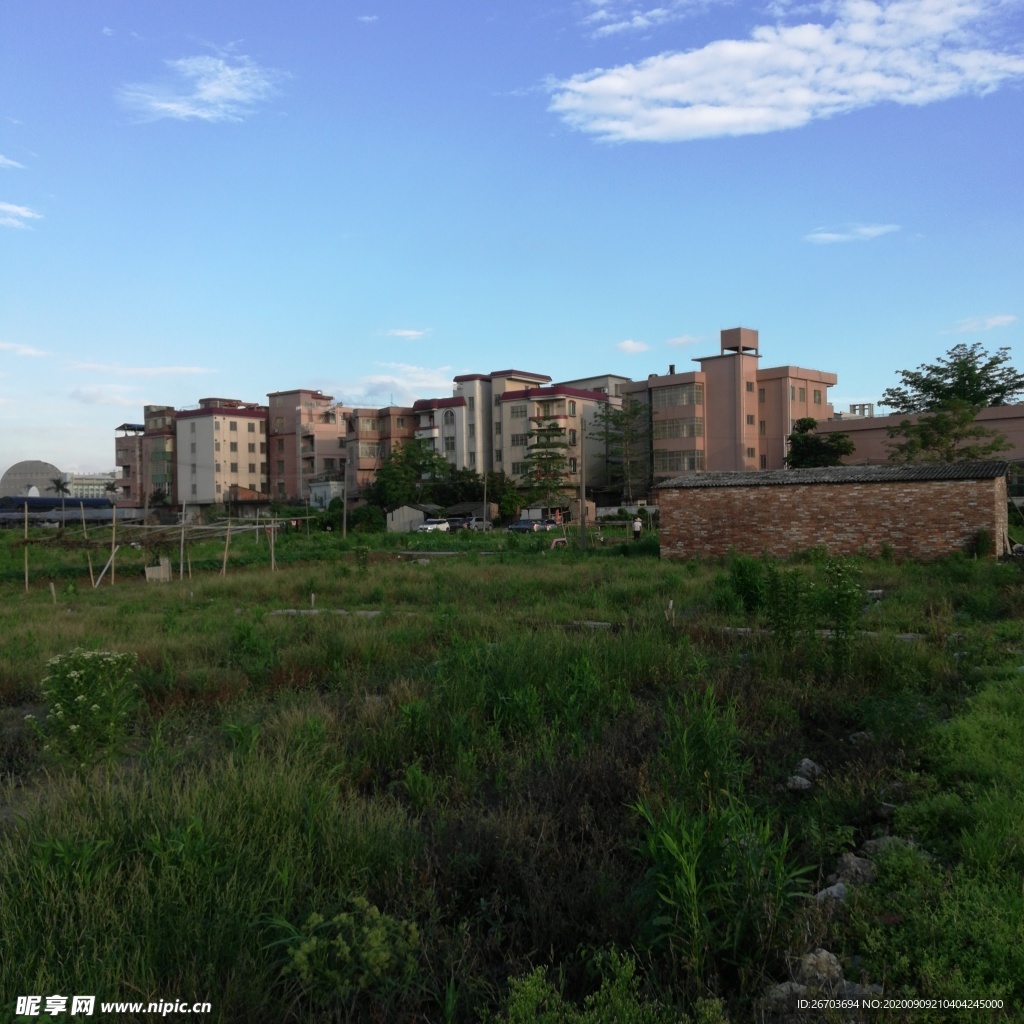 村庄杂草地风景