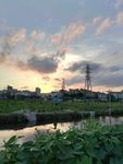 田野晚霞风景