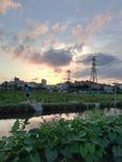 乡村田野日落风景