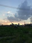 乡村日出风景