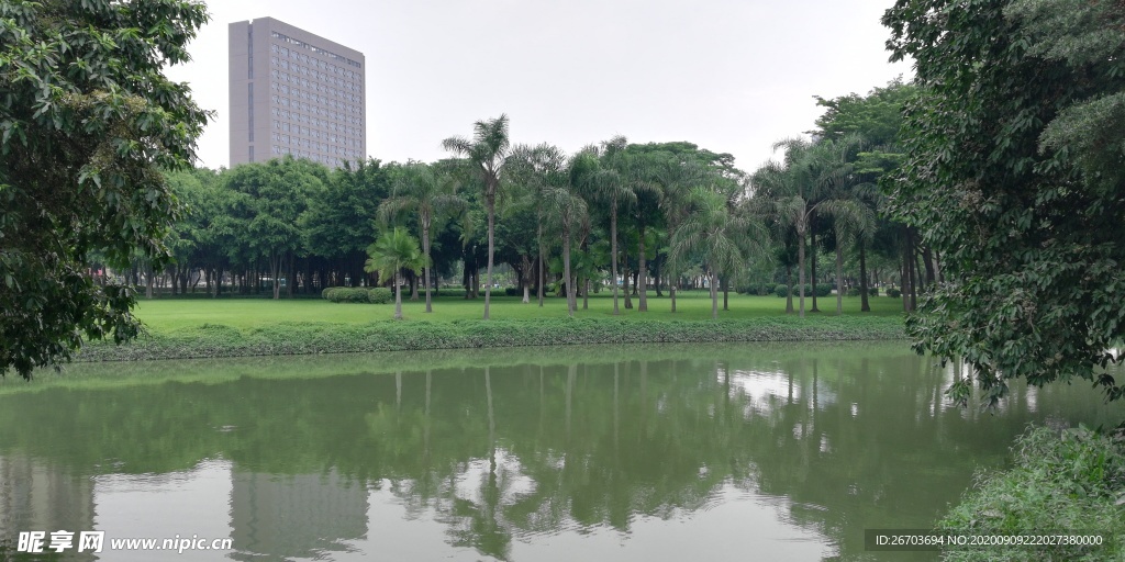 湖泊绿树风景