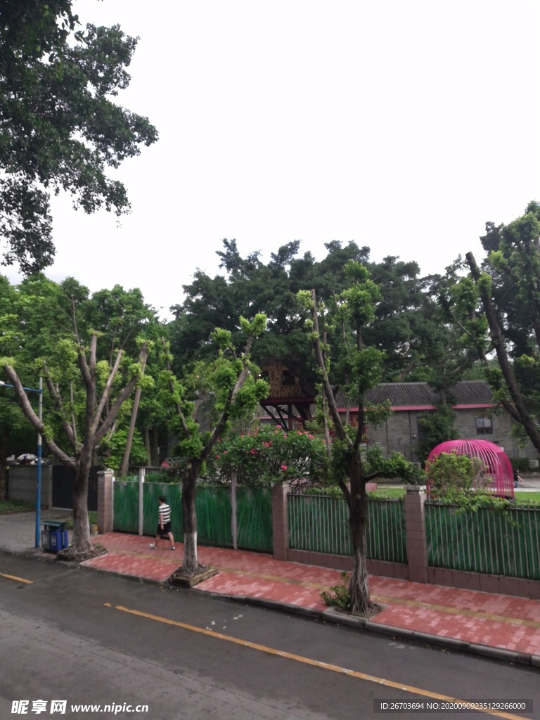 公园风景