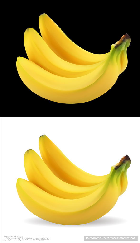 矢量香蕉