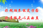 没有规矩不成方圆