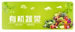 蔬菜 新鲜蔬菜 有机蔬菜