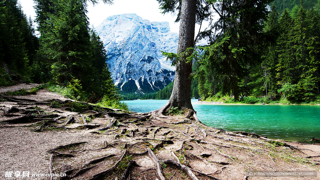自然风景