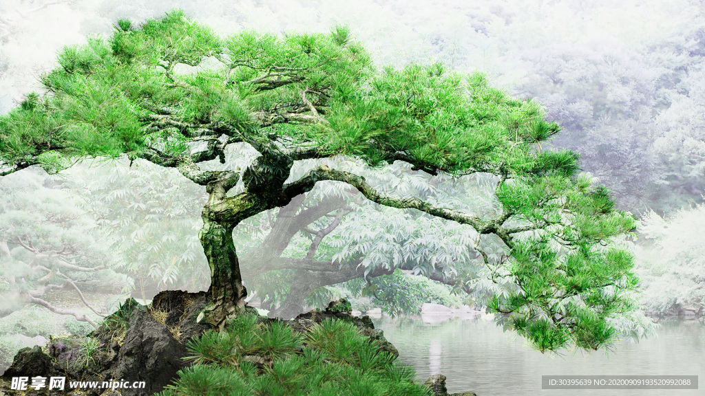 风景