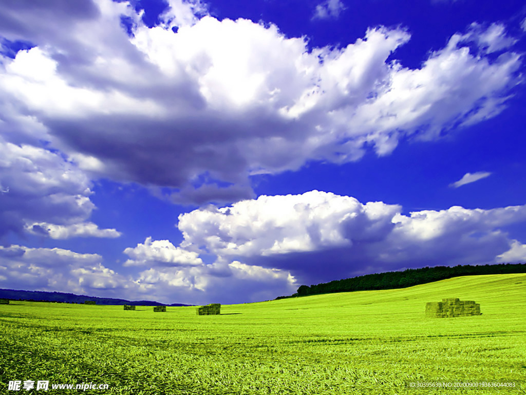 风景