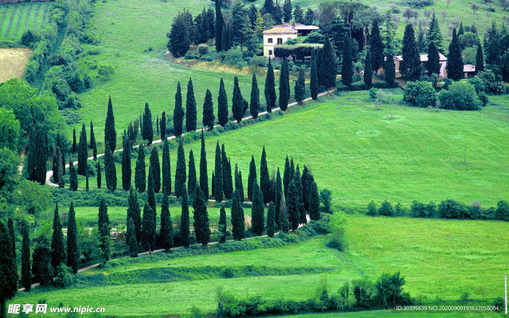 风景