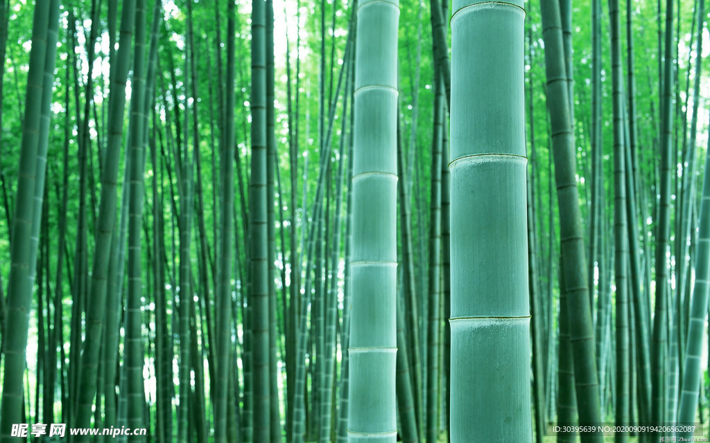 风景