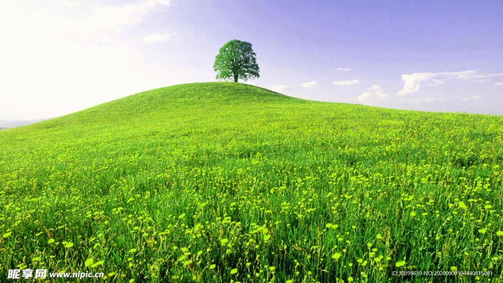 风景
