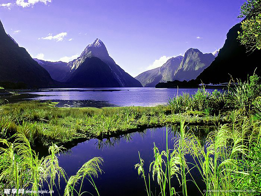 风景