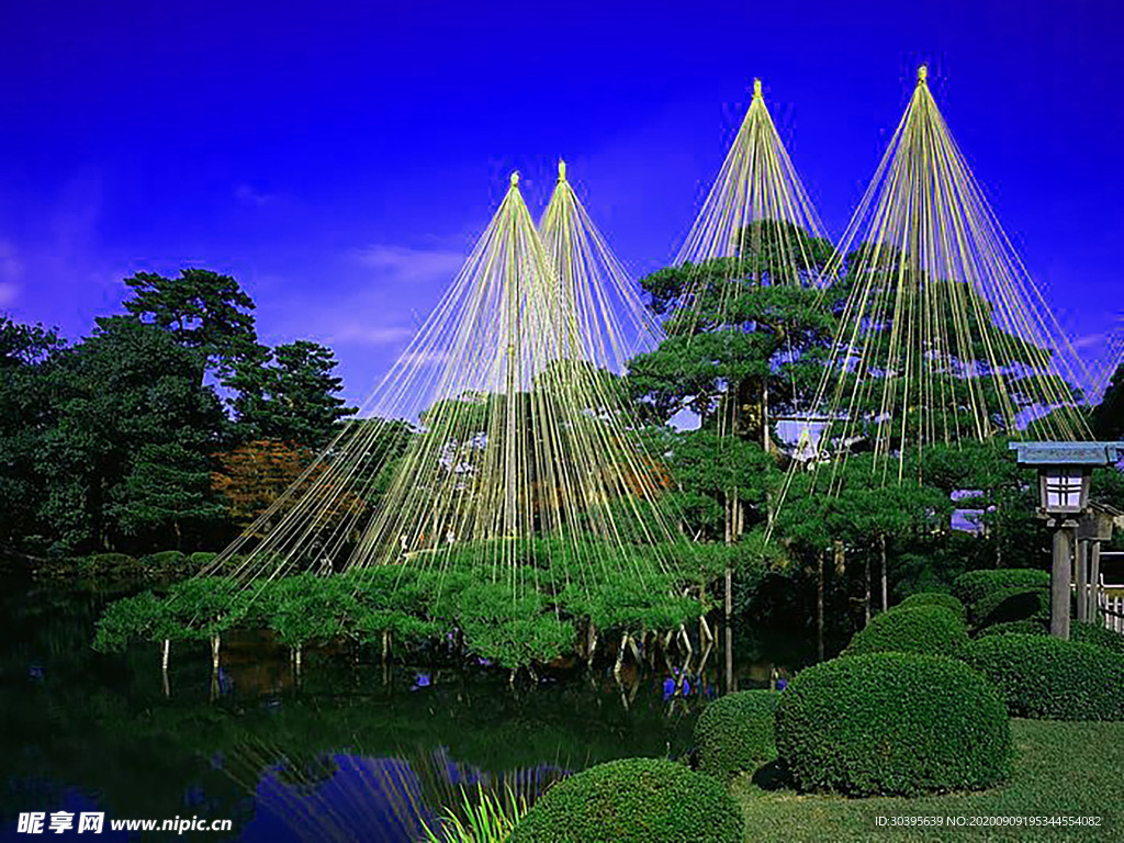 风景