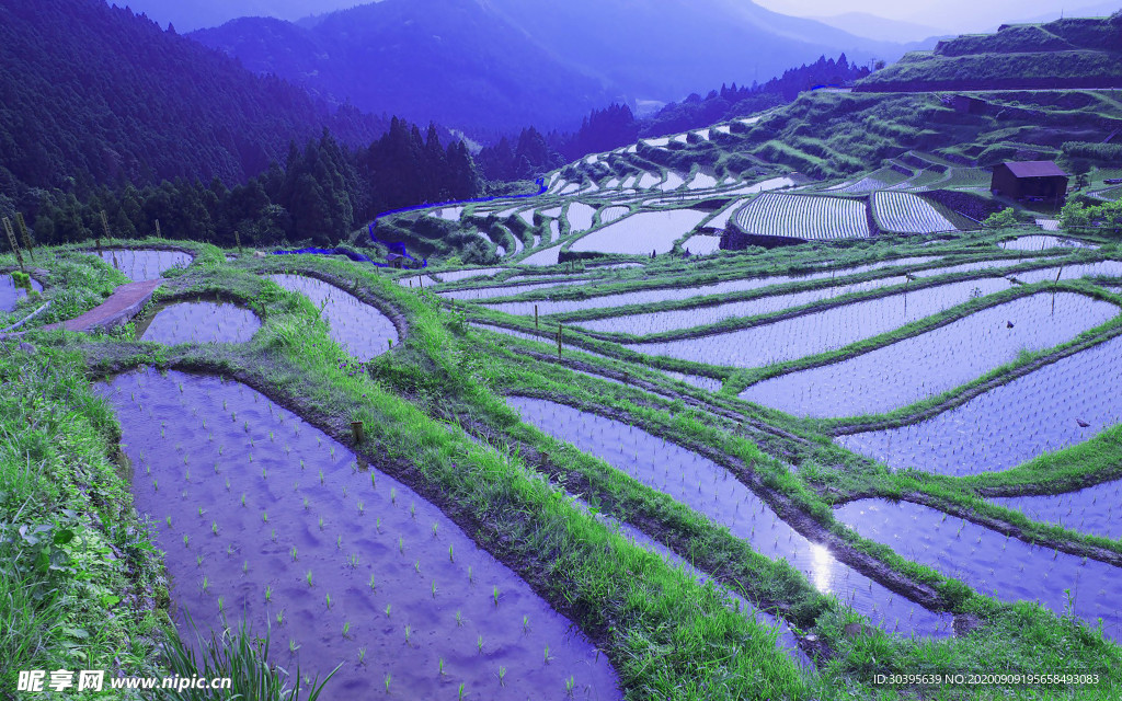 风景