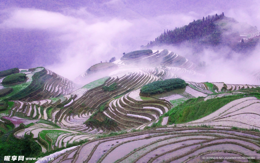 风景
