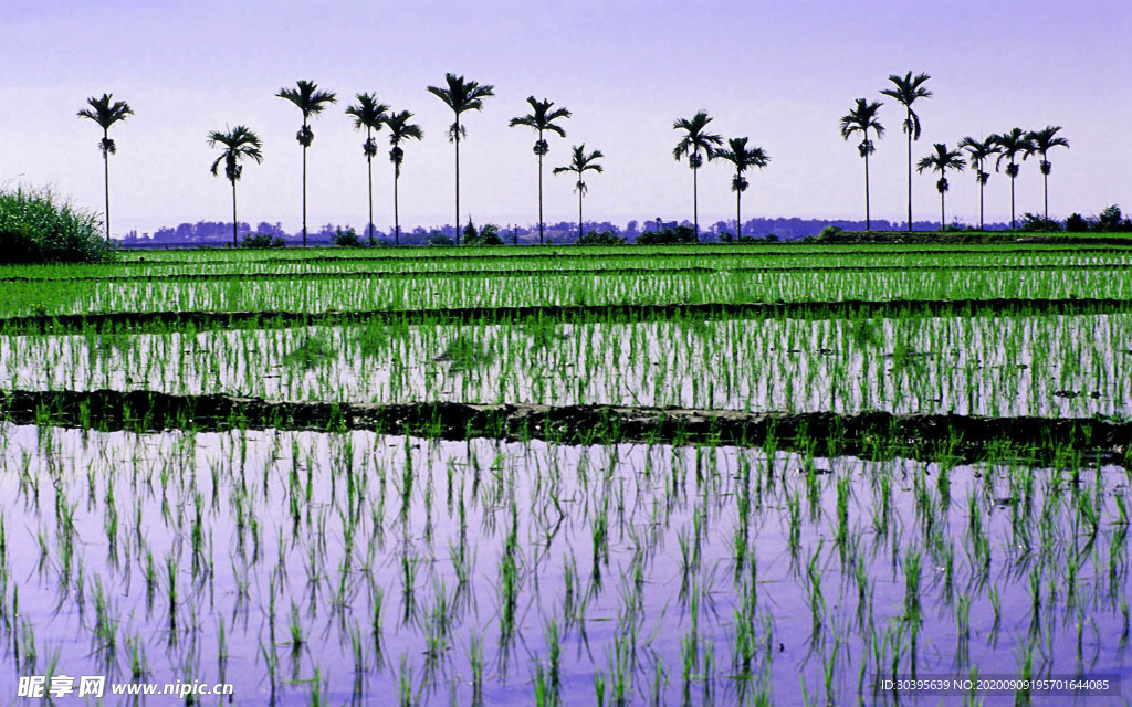 风景