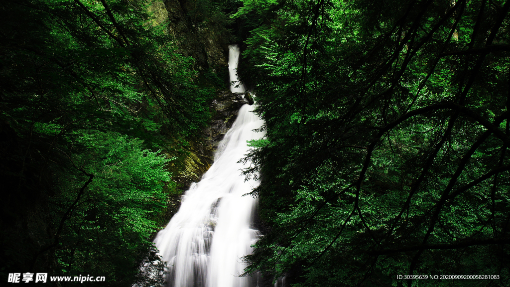 风景