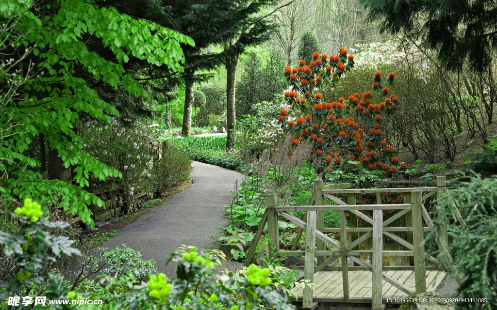 风景