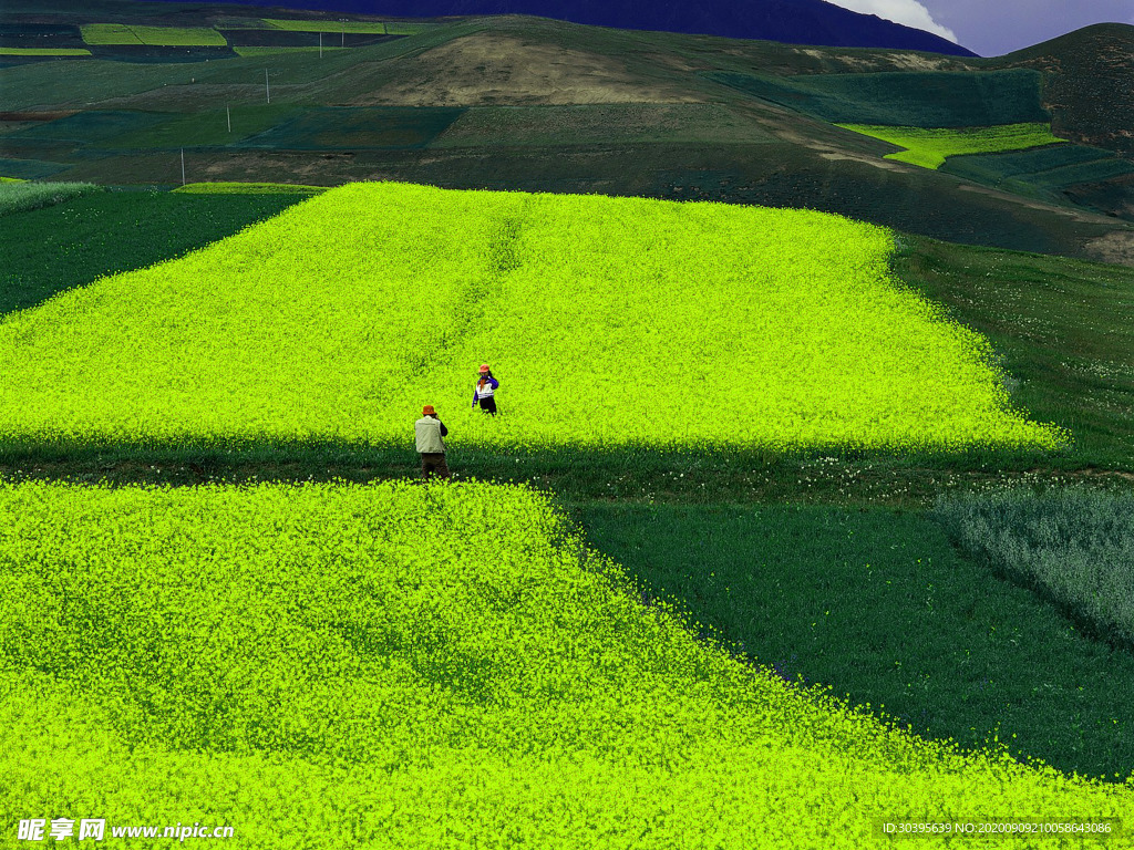 风景