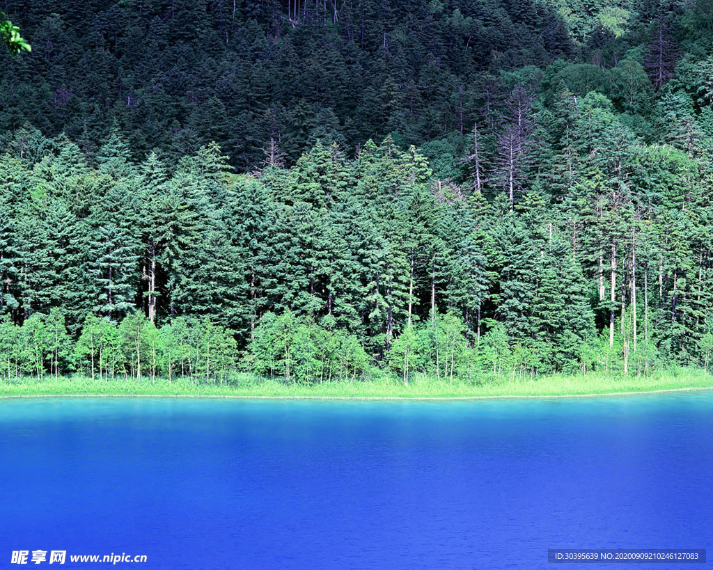 风景