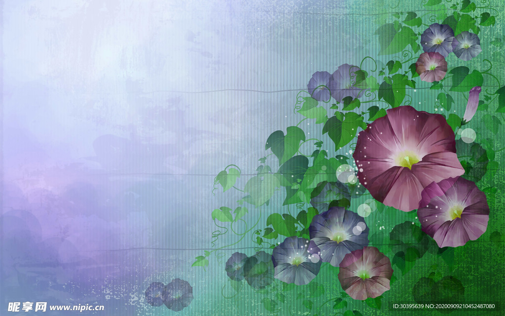 风景