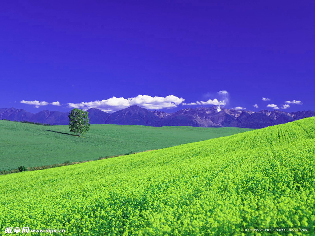 风景