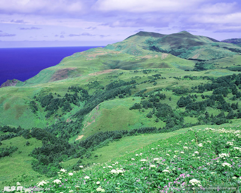 风景