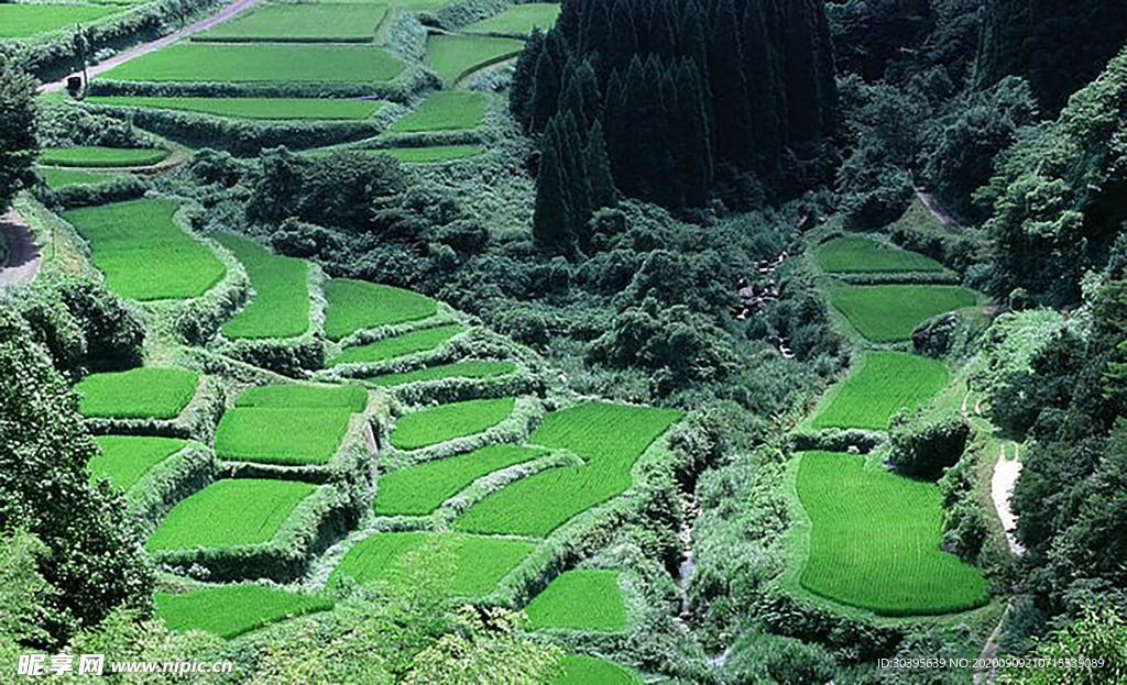 风景