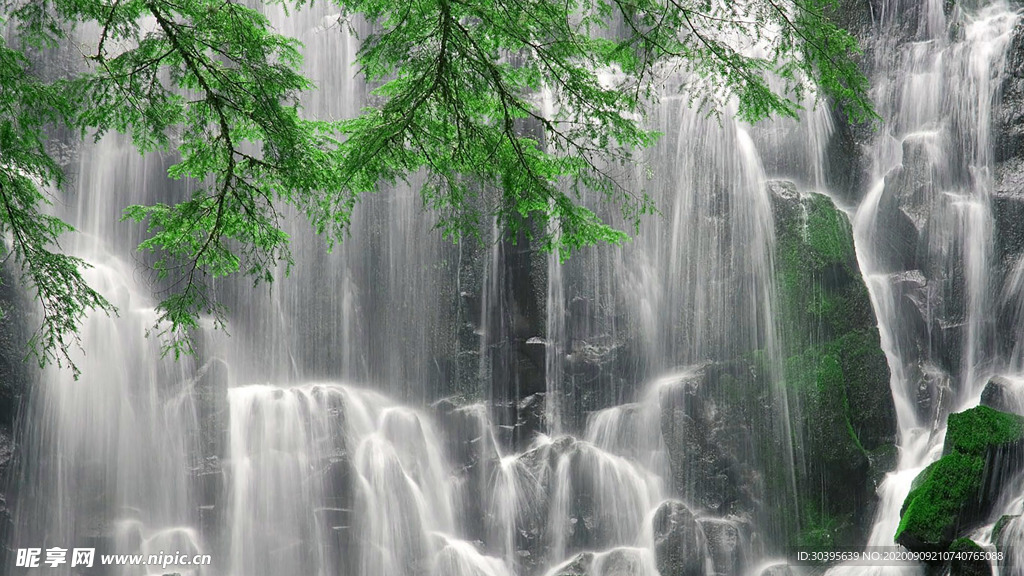 风景