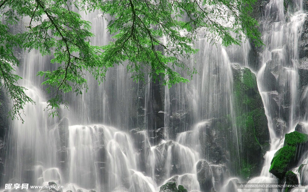 风景