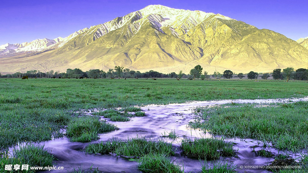 风景
