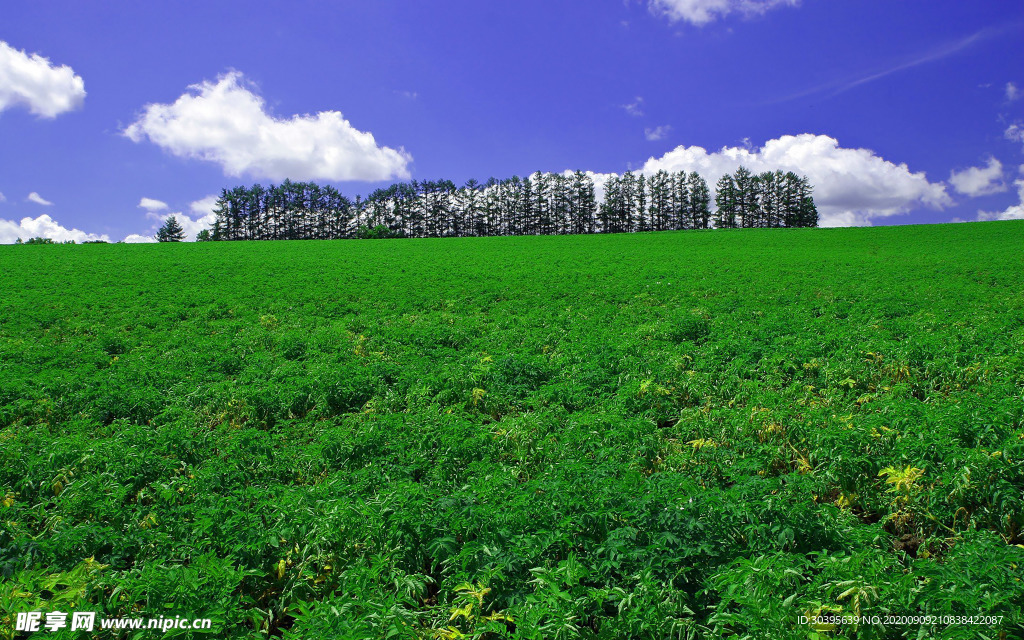 风景