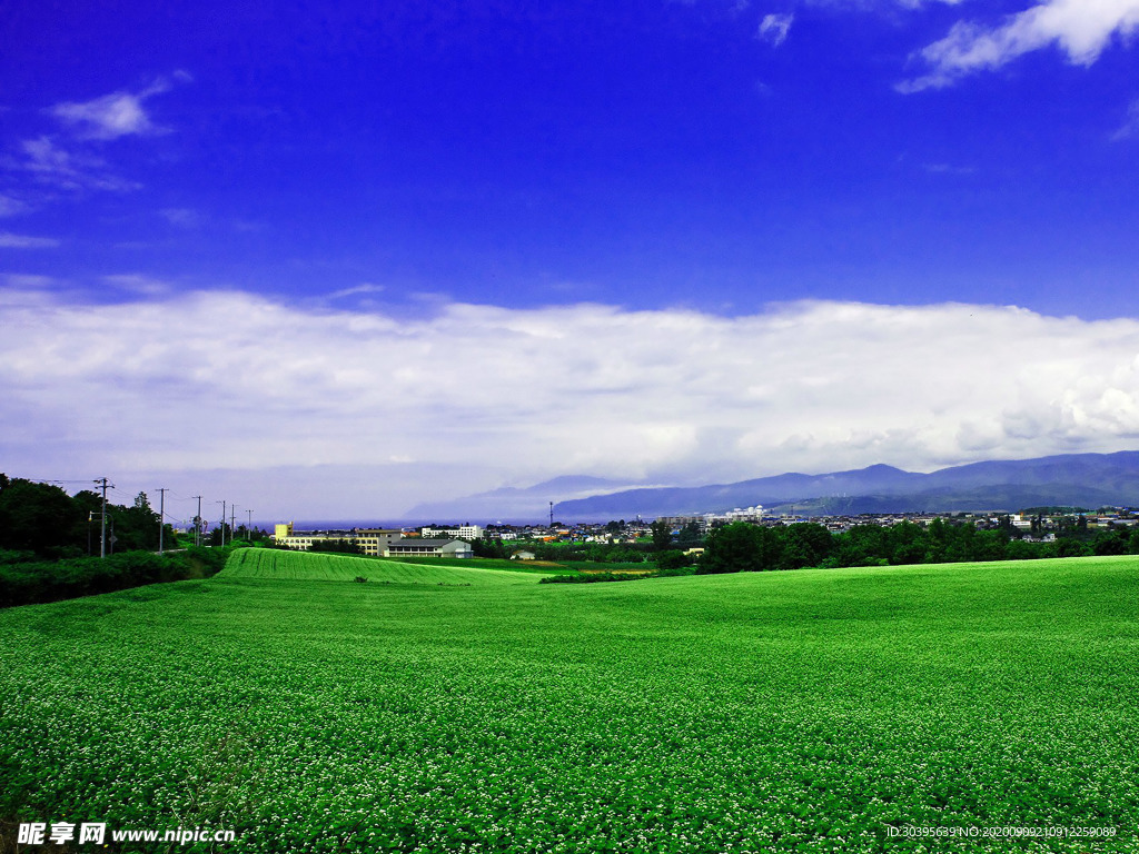 风景