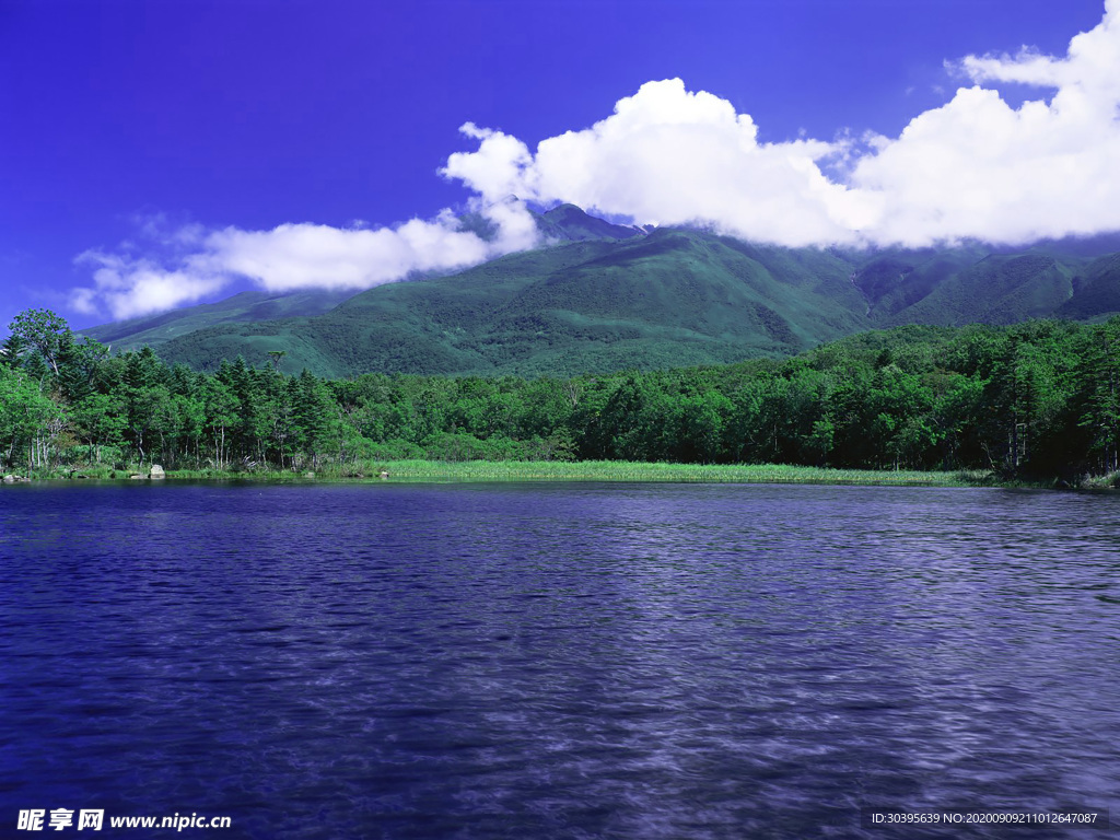 风景