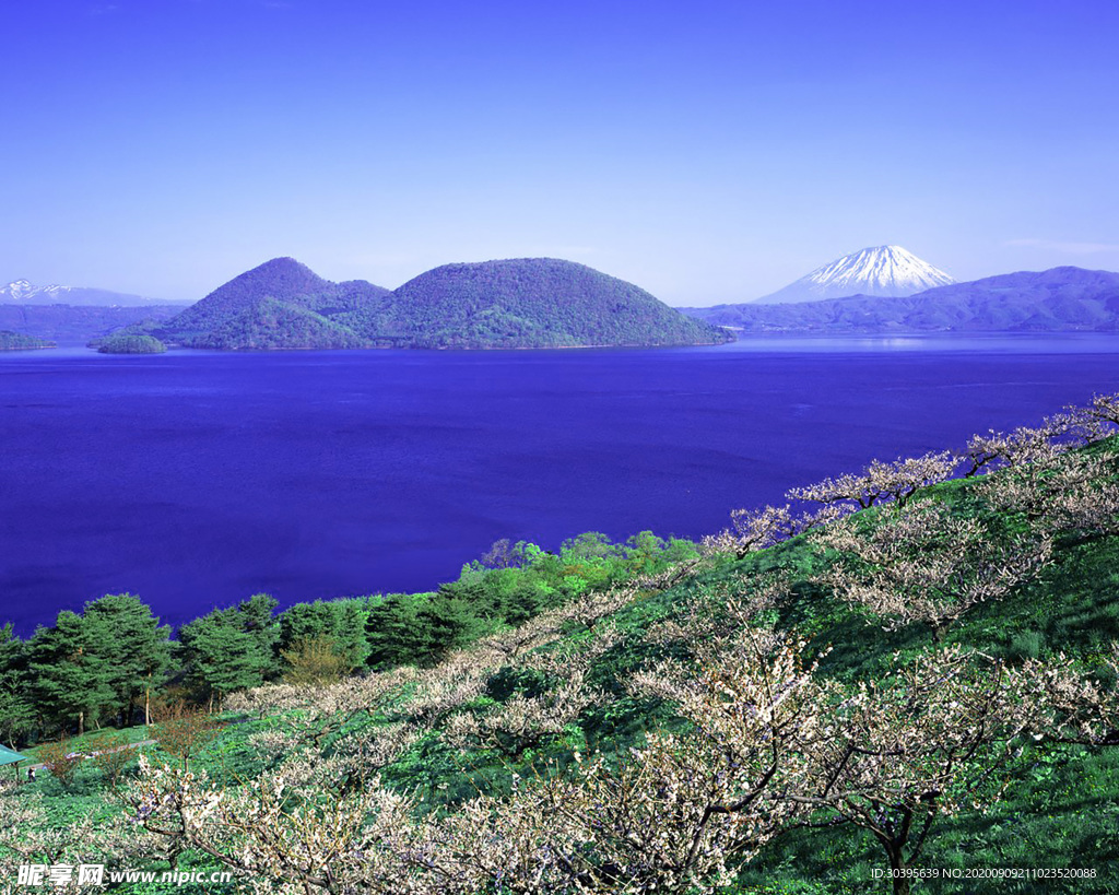 风景